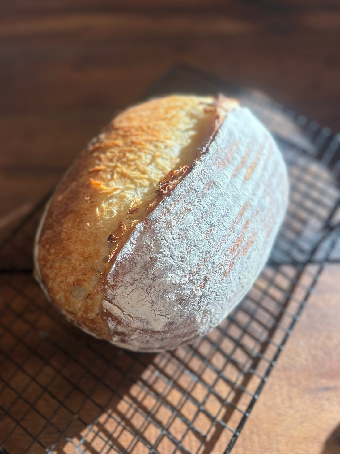 Your First Sourdough: From Starter To Loaf