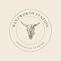 Wentworth Station Sourdough Starter (Live)