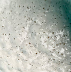Live Sourdough starter from Wentworth Station