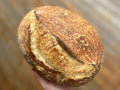 Organic Classic Sourdough