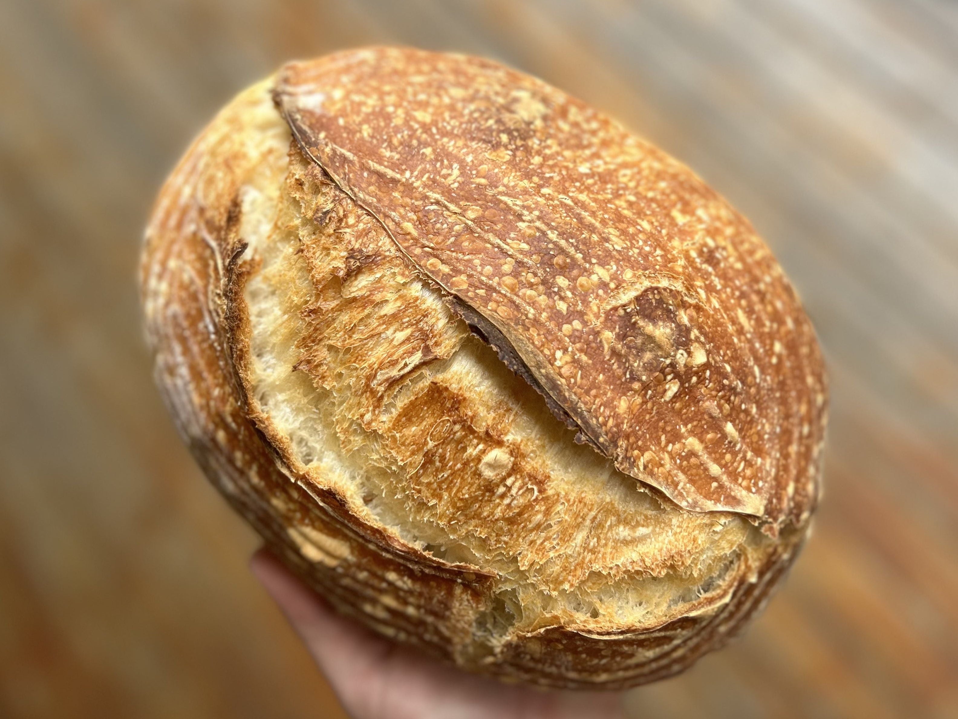 Organic Classic Sourdough